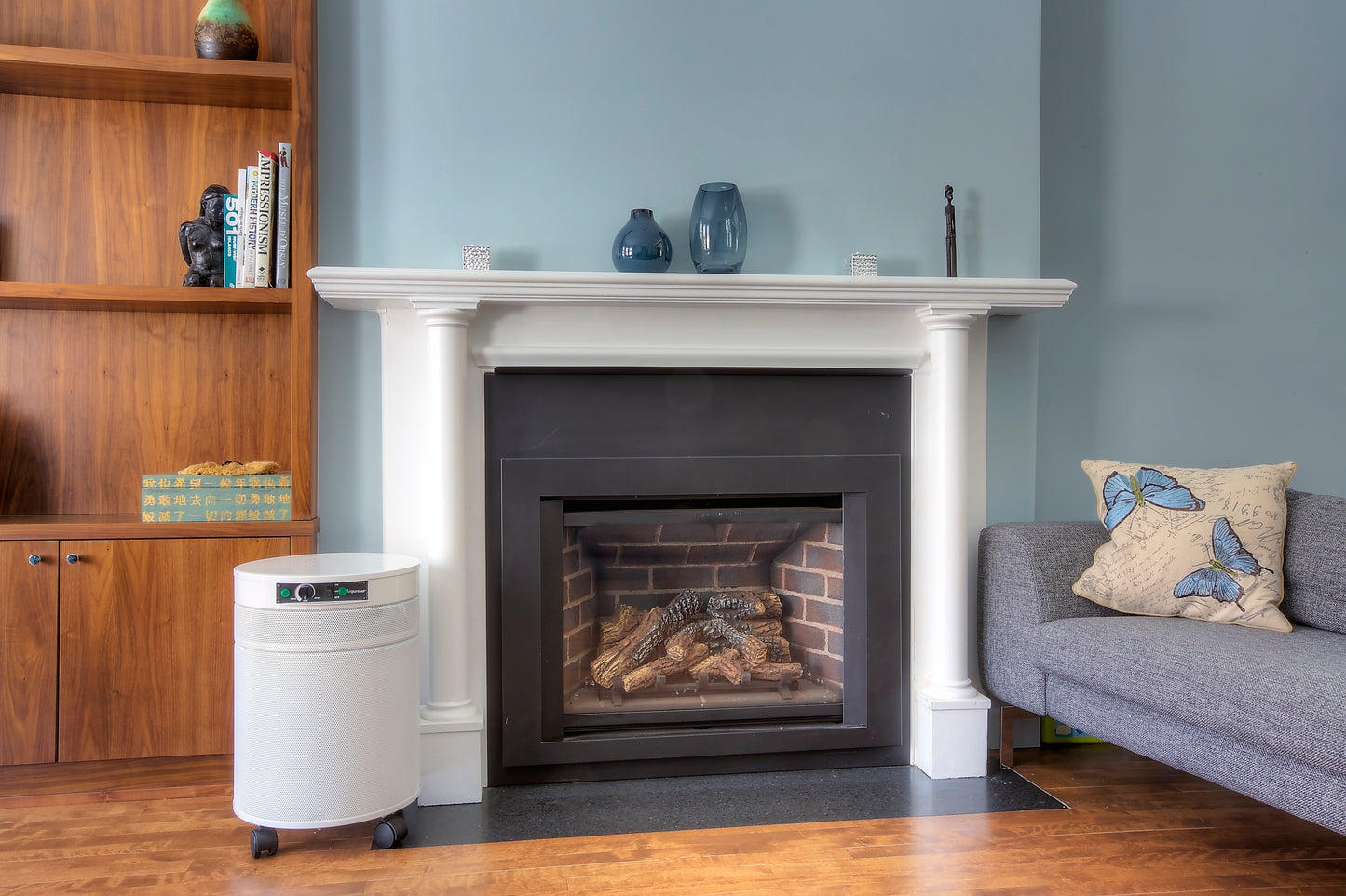 AirPura C600 DLX - Chemicals and Gas Abatement Plus Air Purifier