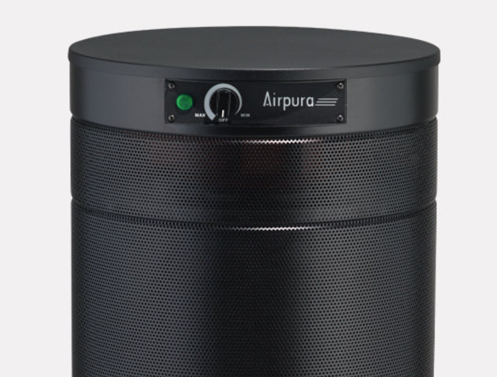 AirPura C600 DLX - Chemicals and Gas Abatement Plus Air Purifier
